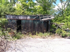 one of the shacks on the property